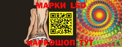мдпв Новозыбков