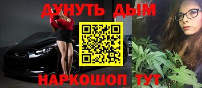 мдпв Новозыбков