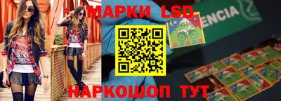 мдпв Новозыбков