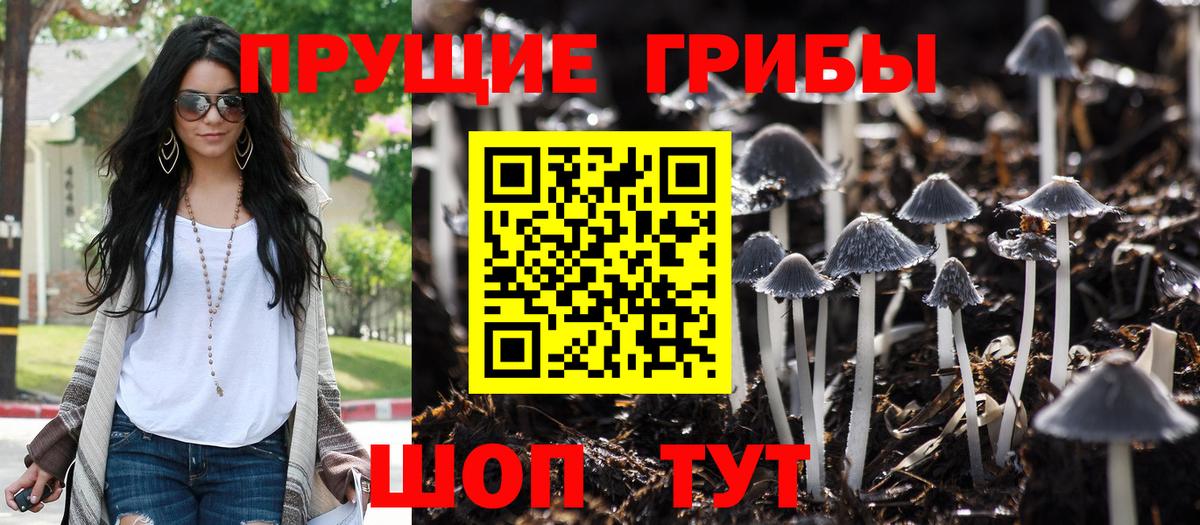Галлюциногенные грибы Cubensis Туймазы